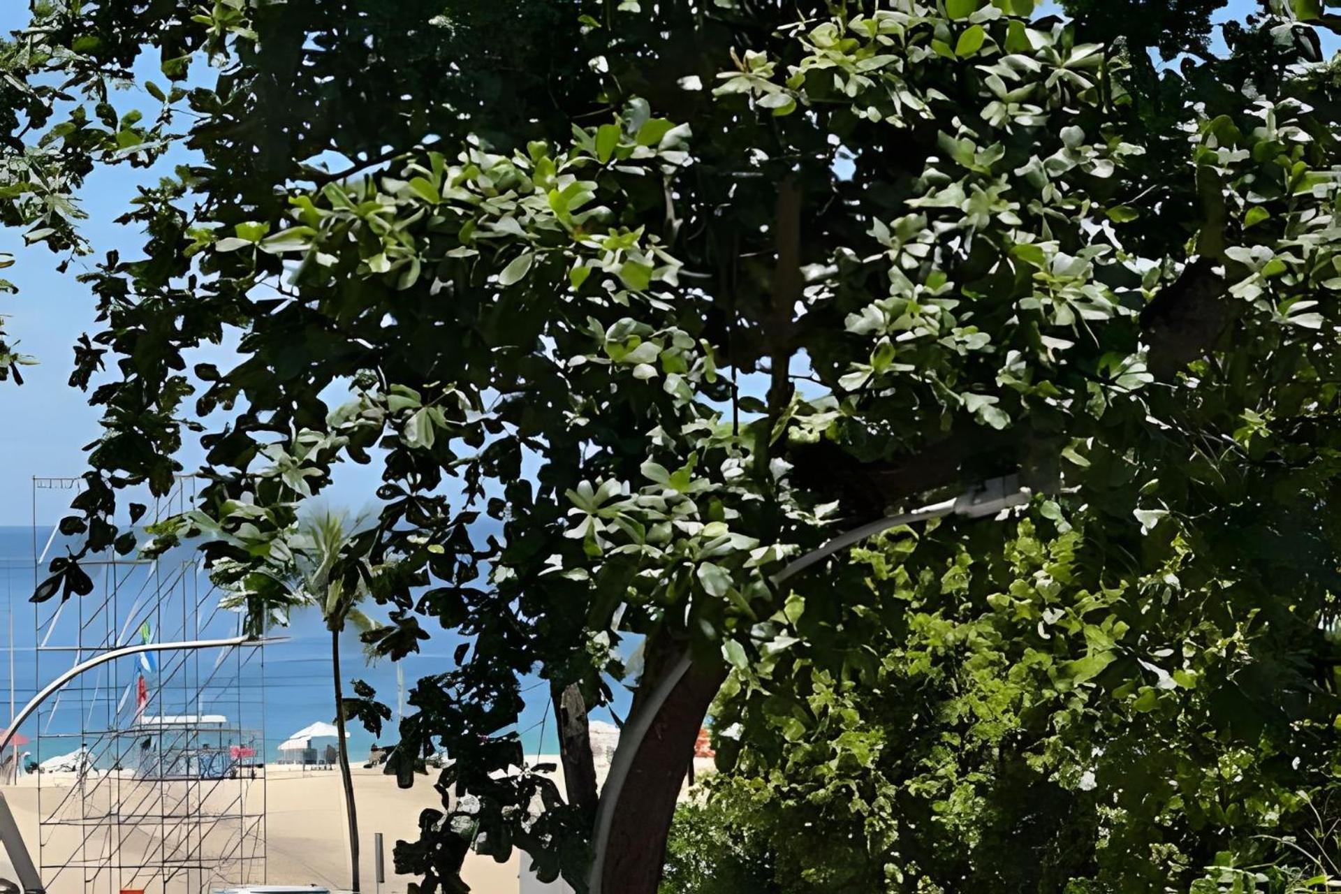 Pe Na Areia Apartment Рио де Жанейро Екстериор снимка